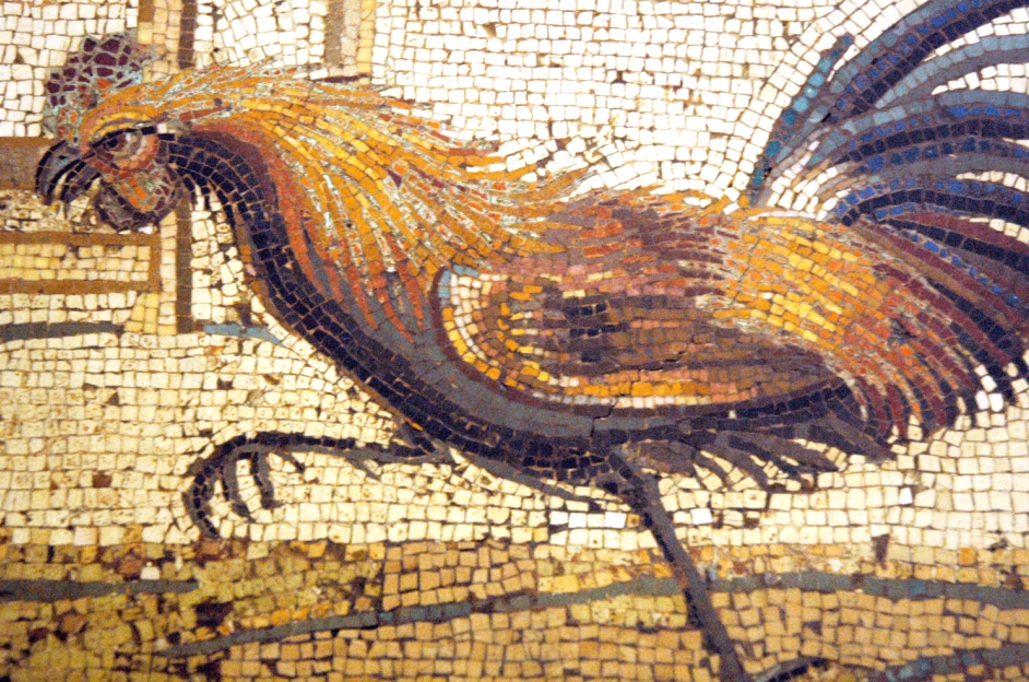 Chickens in the Eternal&nbsp;City